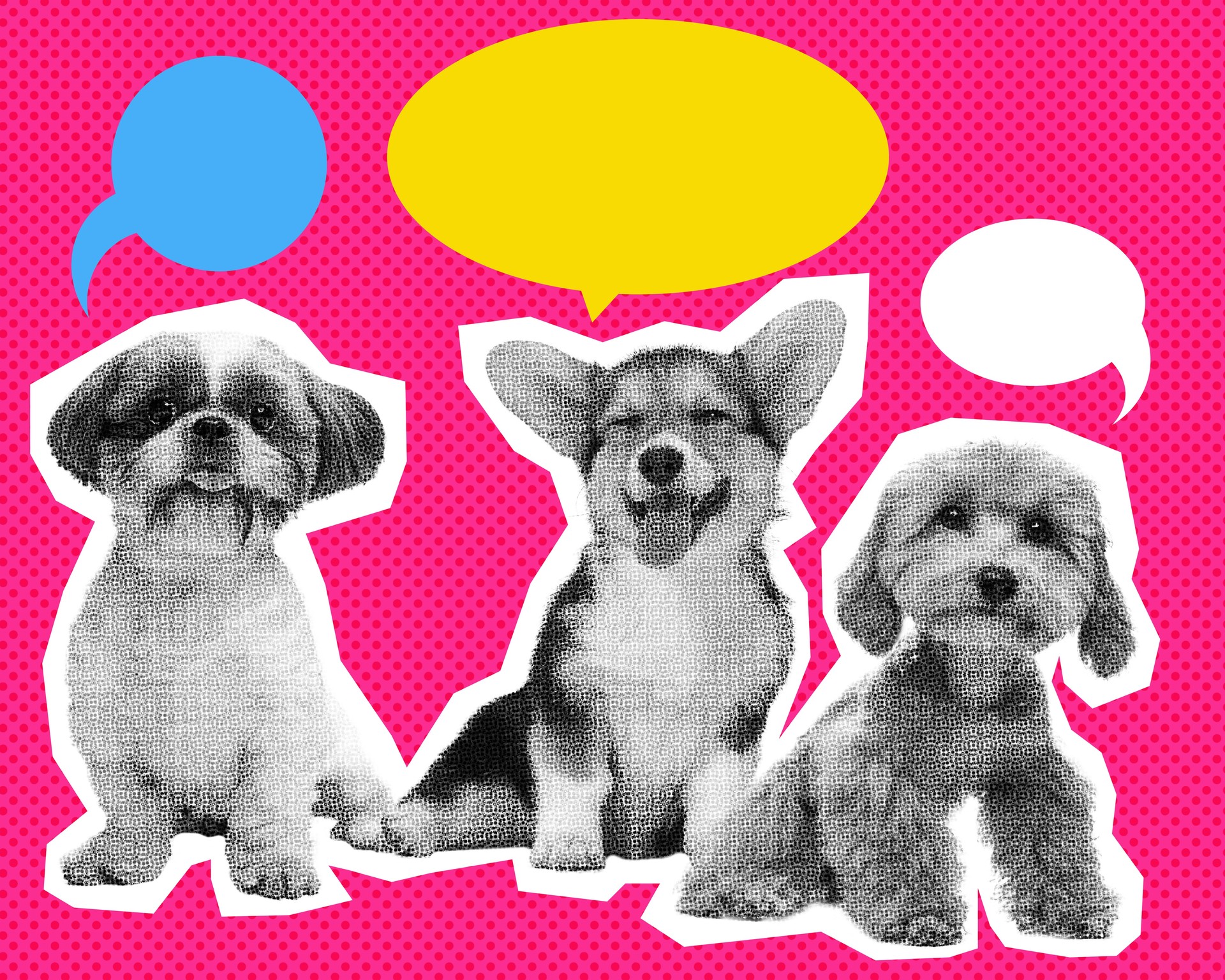 Cute, little, adorable puppies, dogs over pink background with speech bubbles. Ads. Contemporary art collage.